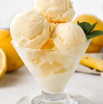 cropped-No-Churn-Lemon-Ice-Cream-2-1.jpg