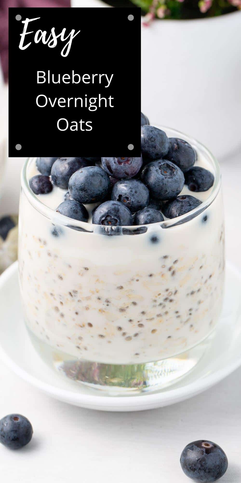 Blueberry Overnight Oats - It's Not Complicated Recipes