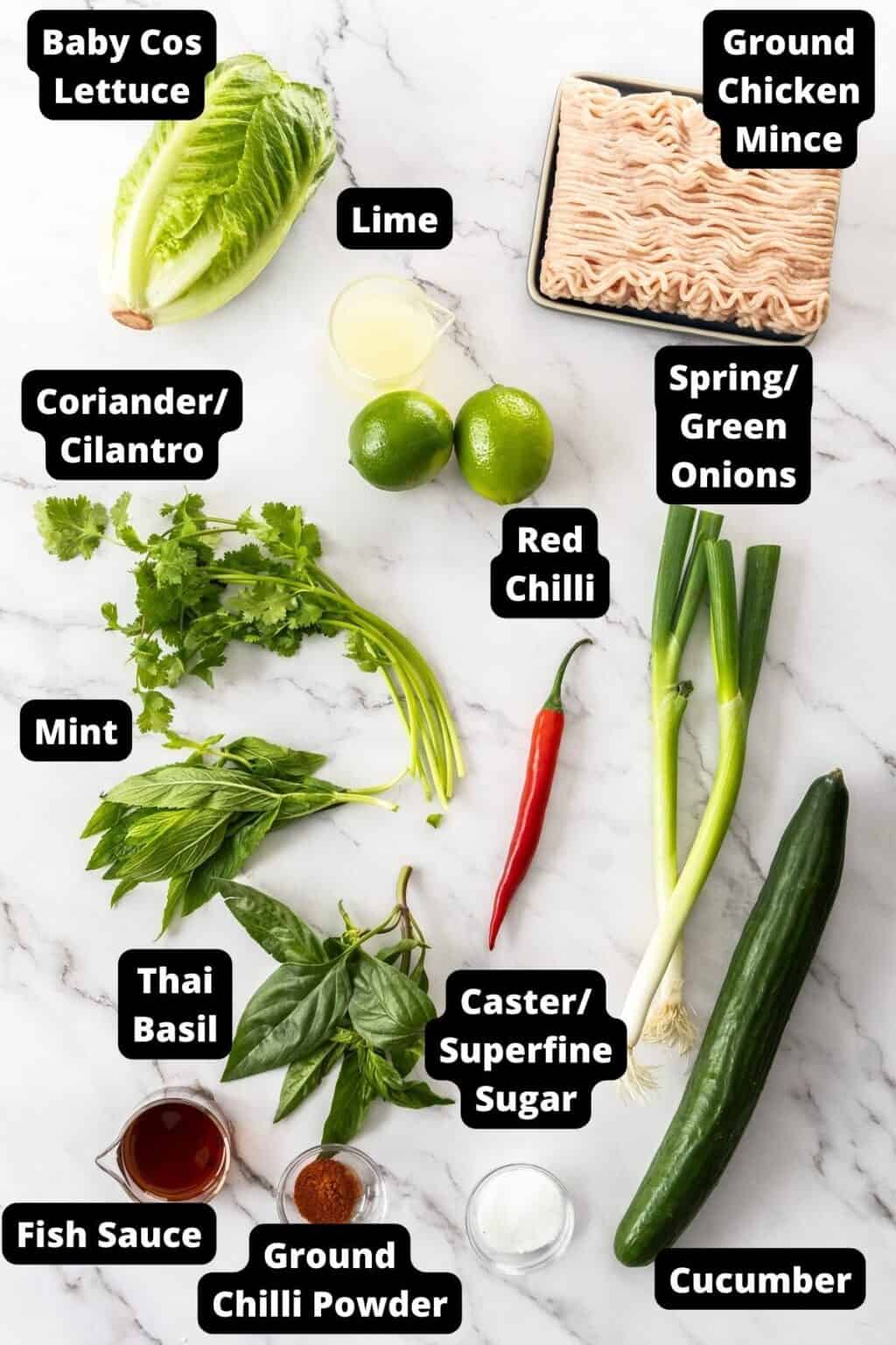 Larb Gai (Thai Chicken Larb) - It's Not Complicated Recipes