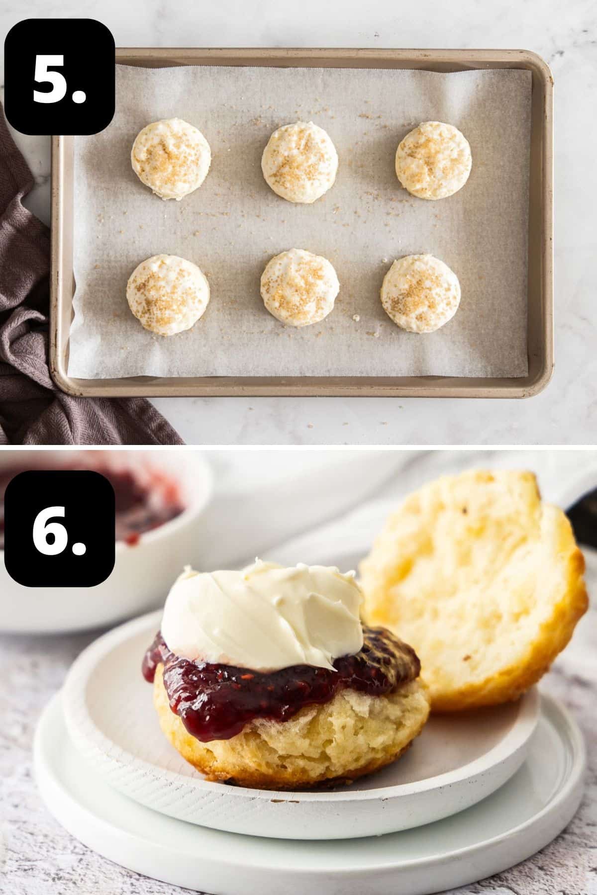 Steps 5-6 of preparing this recipe: cut out scones on a baking tray ready for the oven and a scone served with jam and cream.