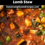 Pinterest image with photo of Mediterranean Lamb Stew.