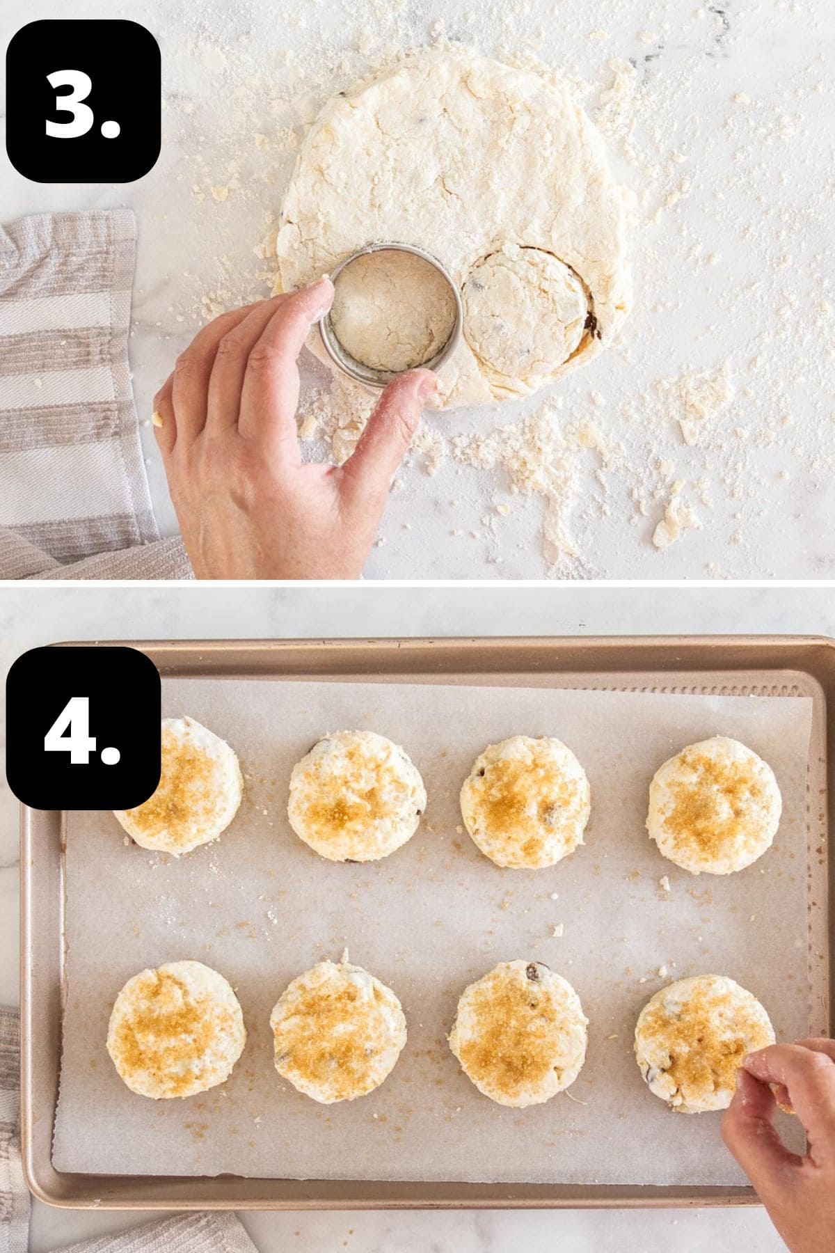 Cutting the scones out of the mixture and the scones on a baking tray, sprinkling with some sugar.