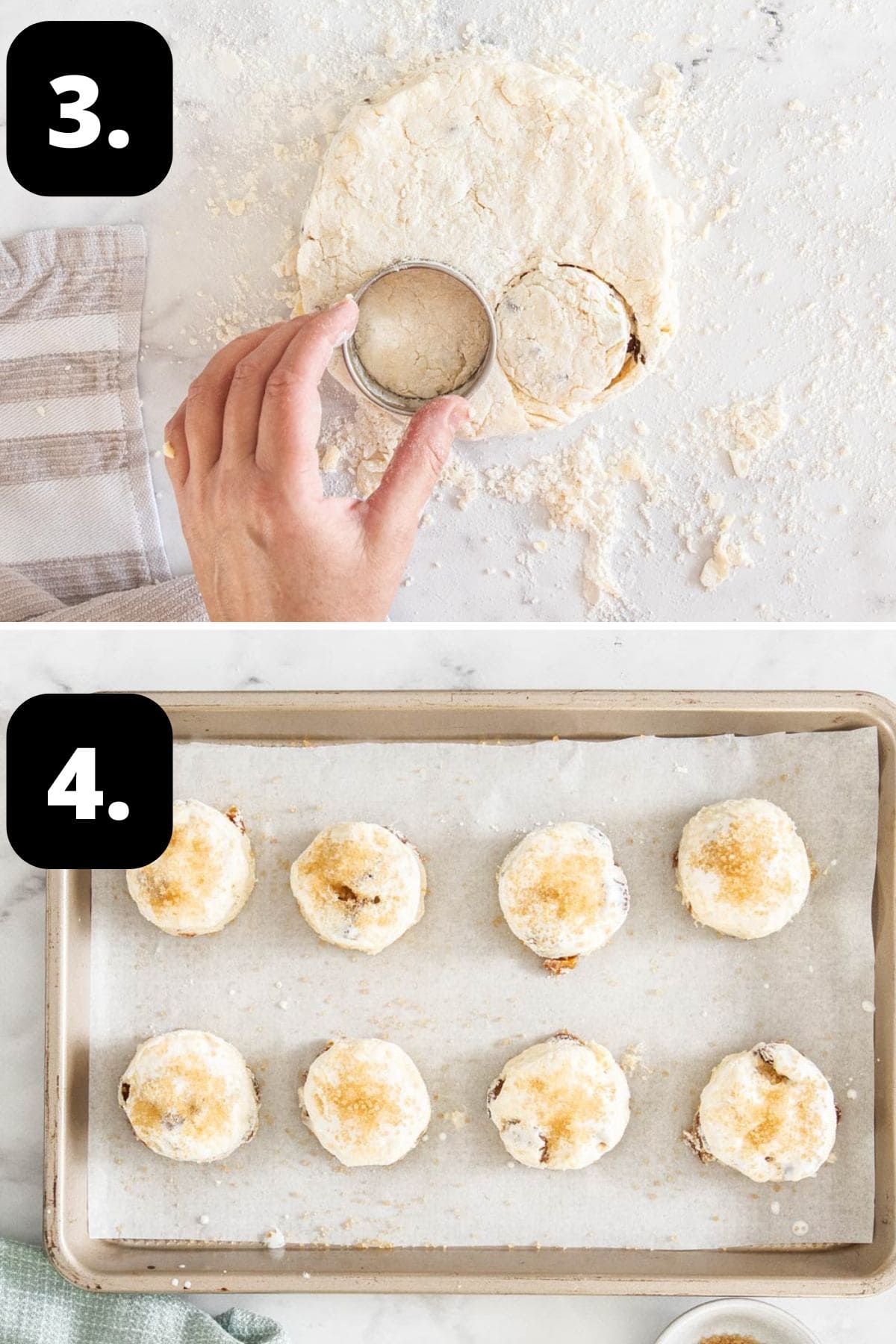 Cutting the scones out of the mixture and the scones on a baking tray, sprinkling with some sugar.