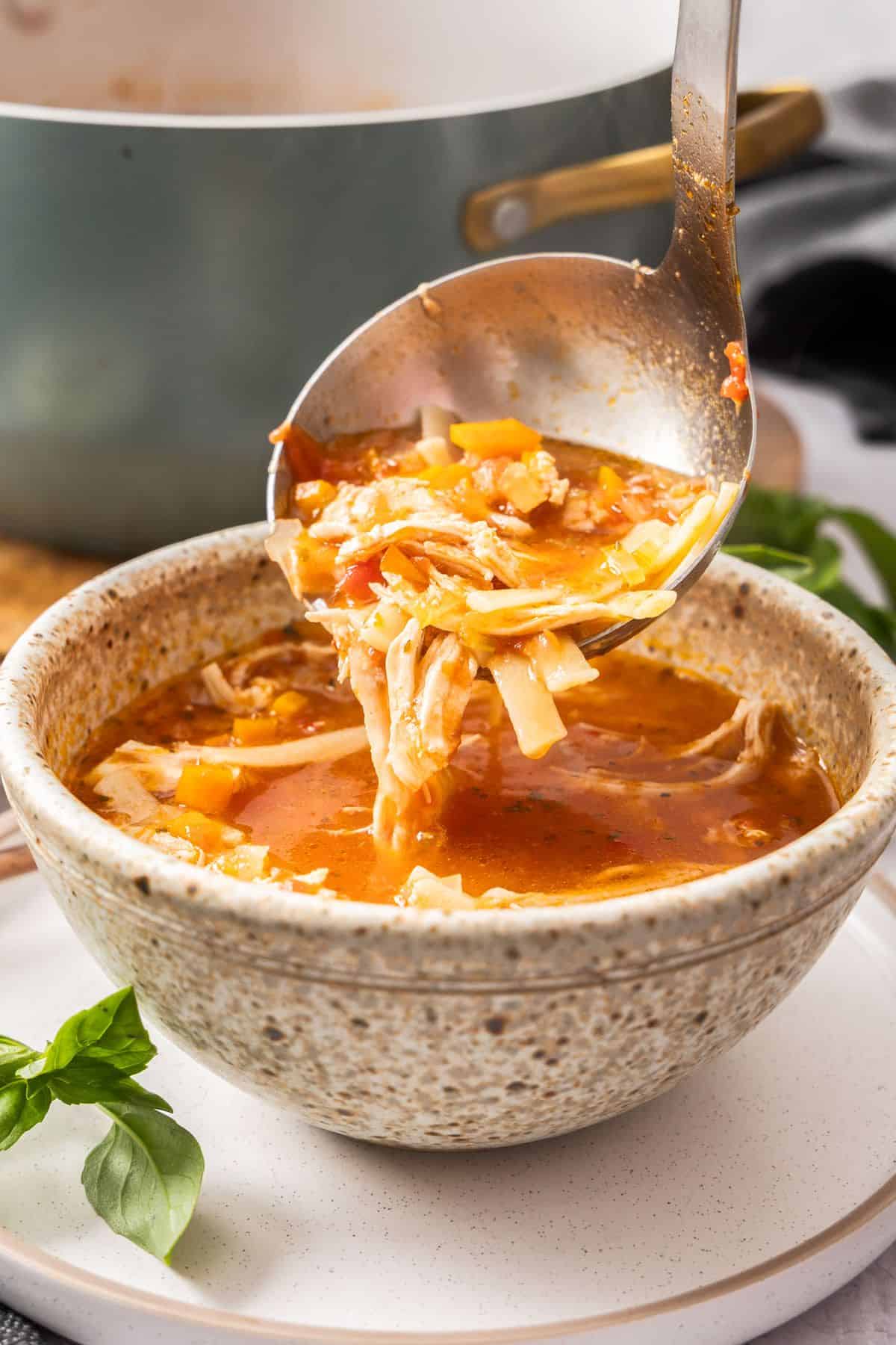Ladle spooning some Mediterranean Chicken Noodle Soup into a bowl.