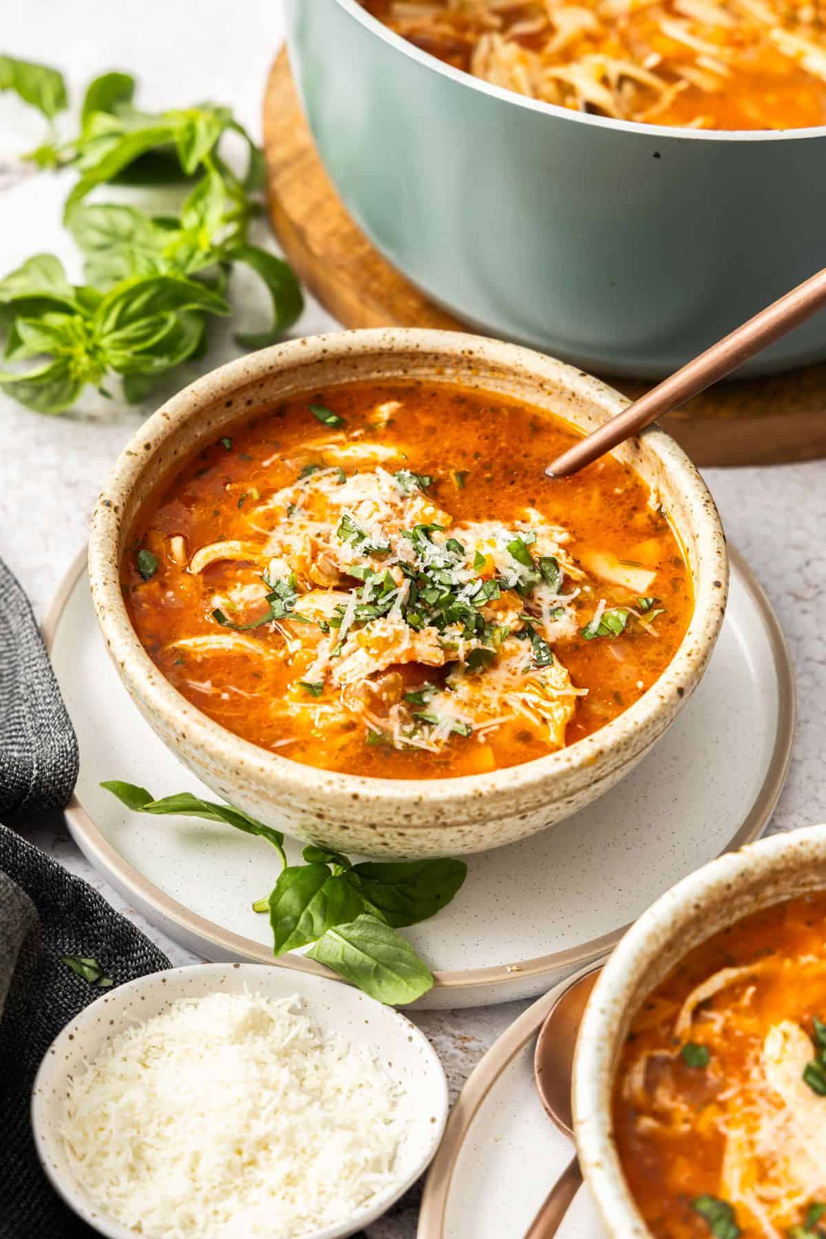 Bowl of Mediterranean Chicken Noodle Soup, topped with some grated Parmesan cheese and chopped fresh basil.