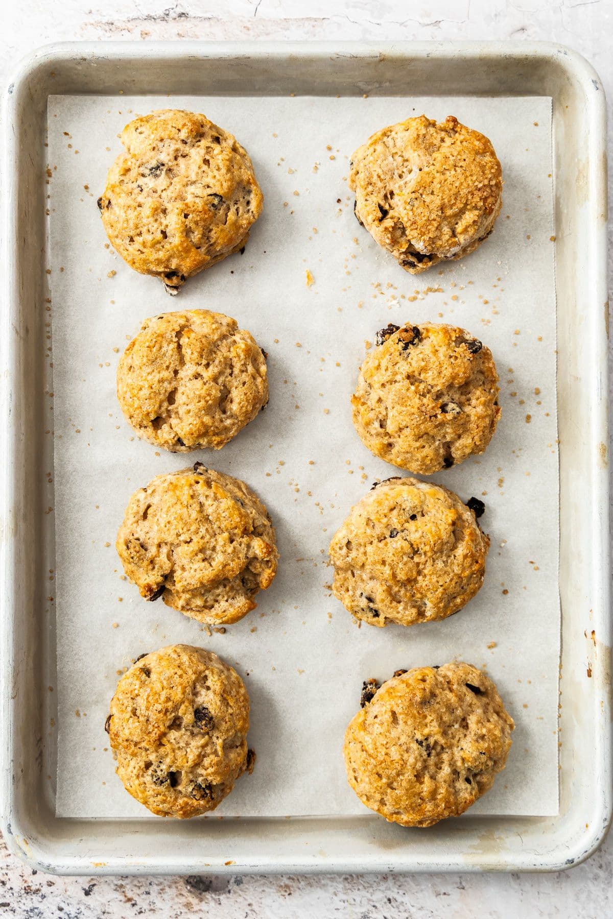 Baking tray lined with baking paper, with eight freshly baked Sultana Scones.