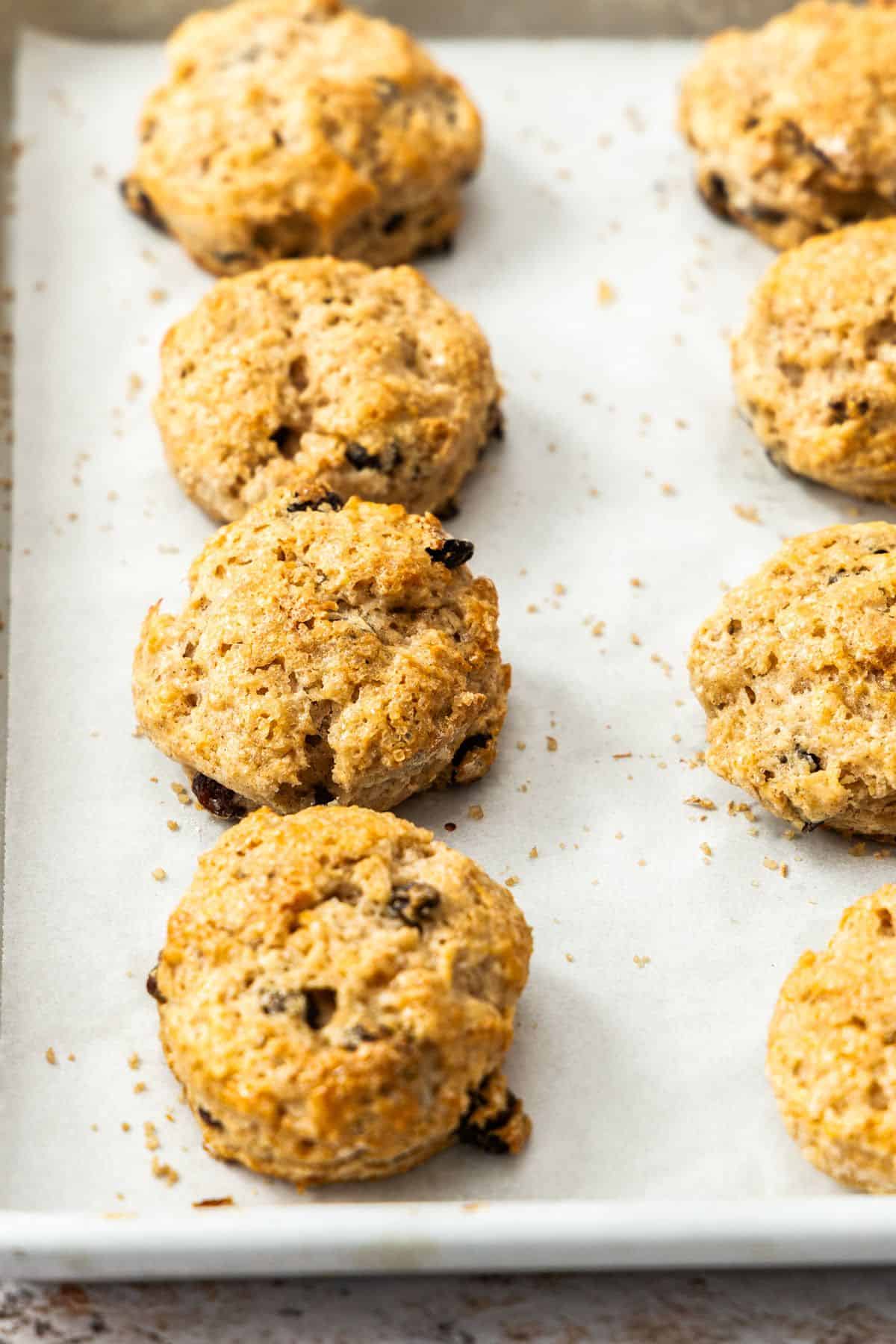 Baking tray lined with baking paper, with eight freshly baked Sultana Scones.