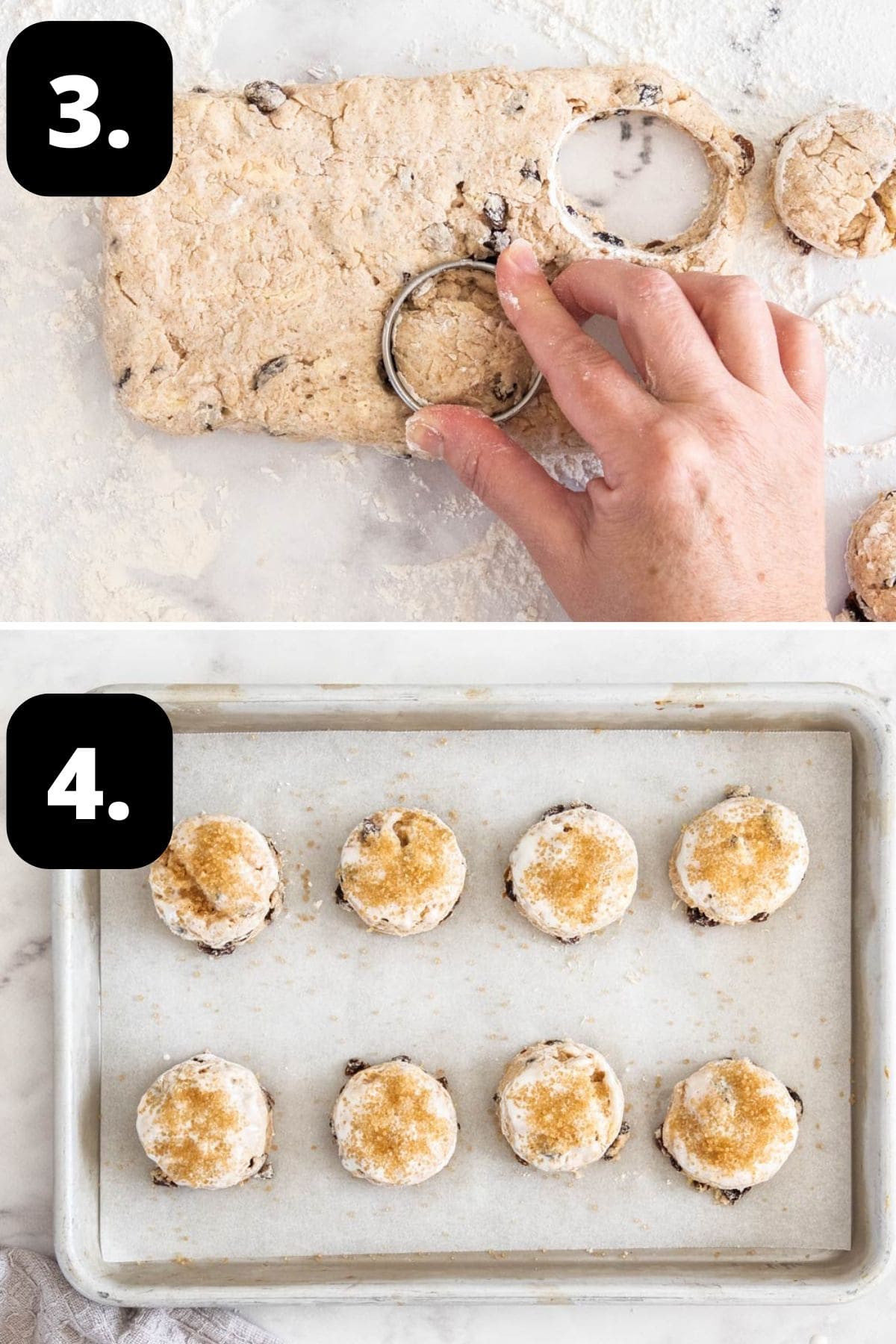 Steps 3-4 of preparing this recipe: cutting out the scones and the cut scones on a baking tray, ready for the oven.