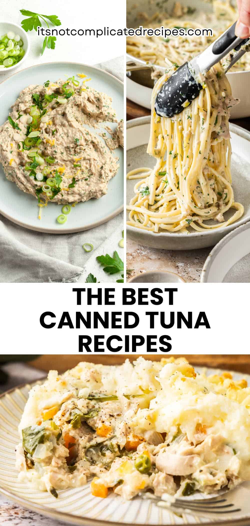 Pinterest image with photos of Canned Tuna Recipes.