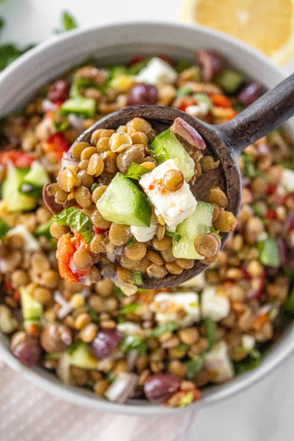 Spoon lifting up a serve of Mediterranean Lentil Salad from a round bowl.