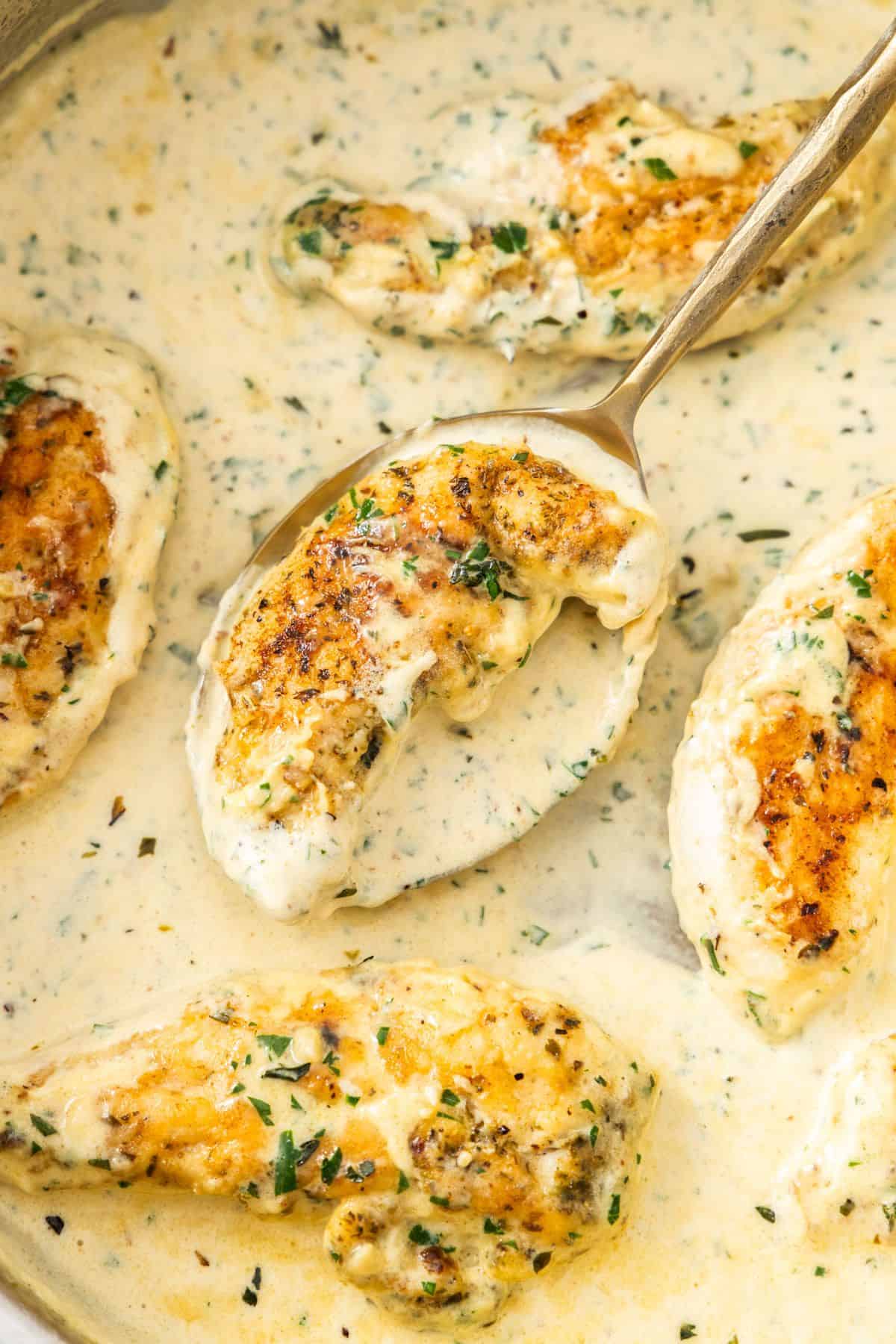 Large frying pan with Creamy Herb Chicken, with a spoon lifting up a piece of chicken.