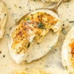 Pinterest image with photo of Creamy Herb Chicken.